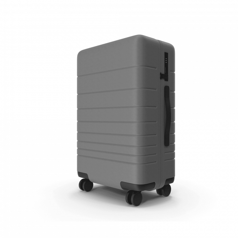 Gray Suitcase