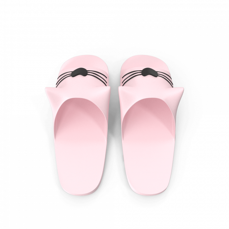 Cat Slippers