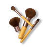 Makeup Brush