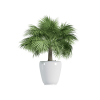 Plant Decor 03