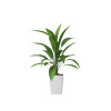 Plant Decor 03