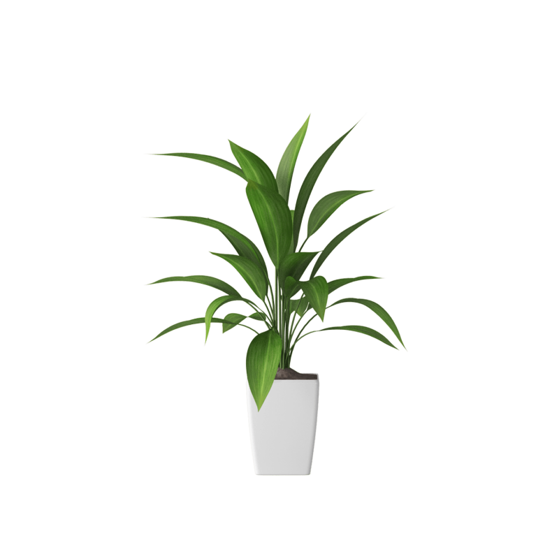 Plant Decor 03