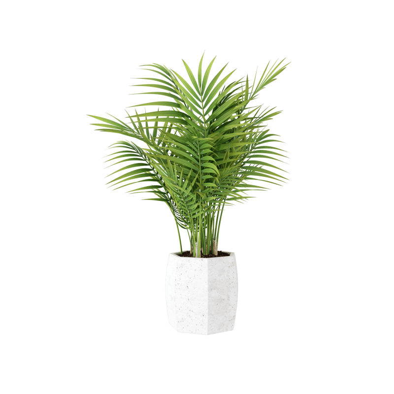 Plant Decor 03