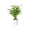 Plant Decor 05