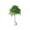 Plant Decor 07