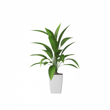 Plant Decor 10