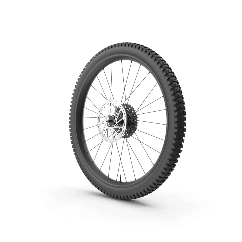 Rear Bike Wheel