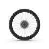 Rear Bike Wheel