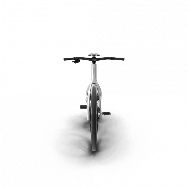 Electric Carbon Bike