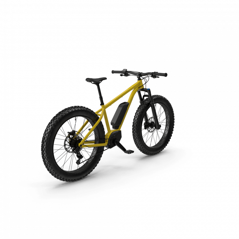 Electric Fat Bike